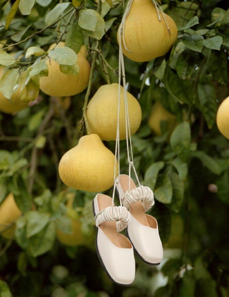 Tam's women's mules hanging in a pomelo tree